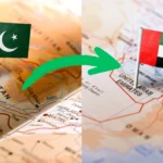 UAE visit visa open for Pakistani today with Dubai visit visa new rules today – Check visit visa for Dubai for 2 months price in Pakistan, online application process, latest Dubai visit visa price in Pakistan, and updated Dubai visit visa requirements for Pakistan. Stay updated on UAE work visa for Pakistani open or not and breaking UAE visa news for Pakistan today.