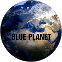 Business Setup and Visa Services in UAE BLUE PLANET profile picture